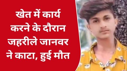 उदयपुर: जहरीले जानवर के काटने से हुई युवक की मौत