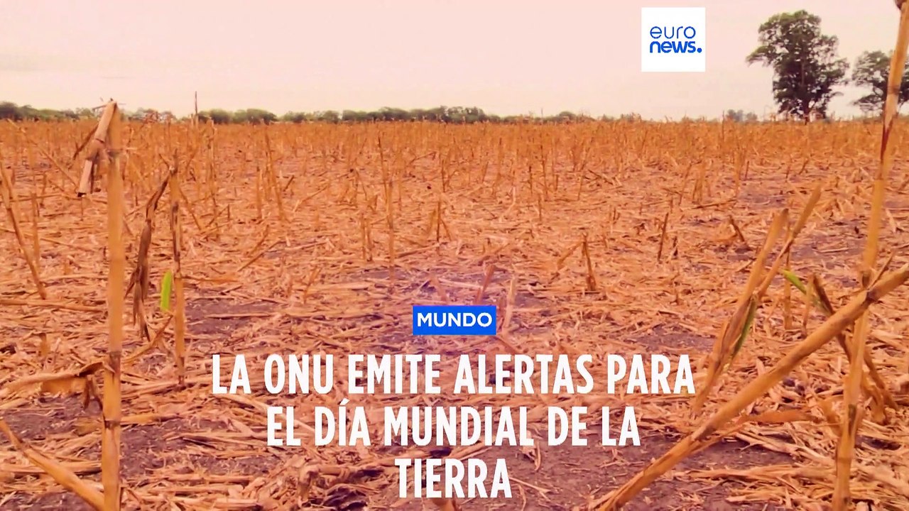 La ONU insta a acabar con las políticas climáticas actuales, "una sentencia de muerte para el mundo"