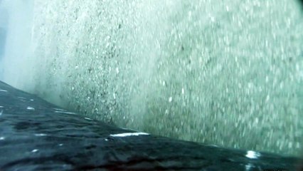 New study has found that humpback whales use a bay - for a spa with full body scrubs