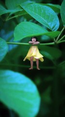 Babies Funny Moments |Cute Babies | Naughty Babies | Funny Babies #babies #baby #beauty #cutebabies