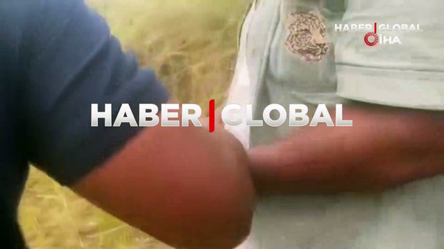 Kan donduran olay... Silahlı saldırganlar çiftlik evini basıp katliam yaptı! Çok sayıda ölü var