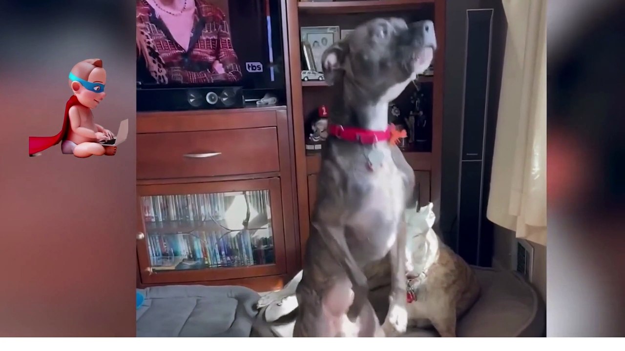 DOG LOVERS PART 10