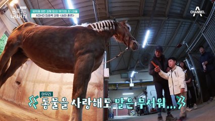 금쪽이에게 가장 필요한 것은 이것? 93% 호전 가능한 ADHD 치료법!