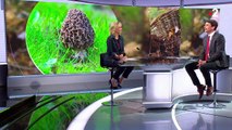 France 2 présente ses excuses aux téléspectateurs après une grave erreur dans le 