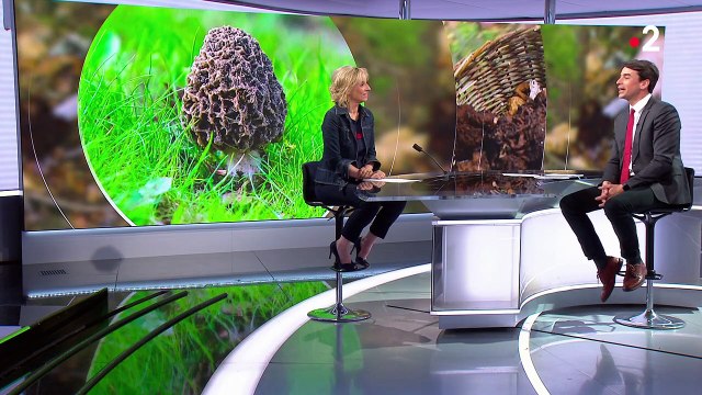 France 2 présente ses excuses aux téléspectateurs après une grave erreur dans le 13 Heures