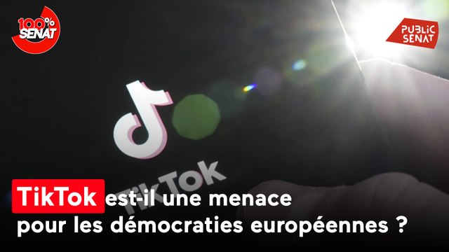 TikTok menace-t-il les démocraties européennes ? Raphaël Glucksmann et Nathalie Loiseau auditionnés