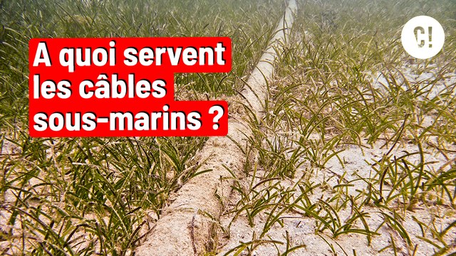INTERNET dans des câbles sous-marins ?!