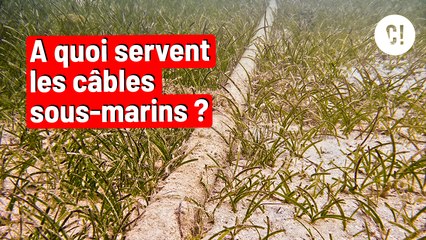 INTERNET dans des câbles sous-marins ?! 