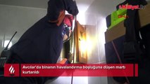 Binanın havalandırma boşluğuna düşen martı kurtarıldı