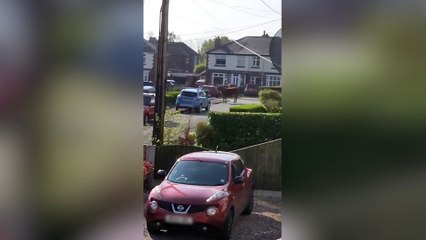 Dad recalls moment rampaging bull charged towards him while on school run