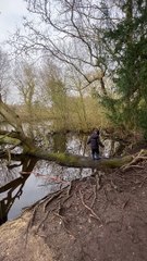 Boy's Tree Climbing Adventure Ends With a Splash