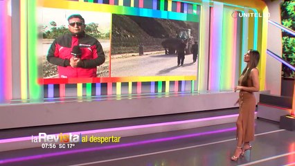Pobladores de Colomi retoman bloqueo en la carretera nueva Santa Cruz - Cochabamba