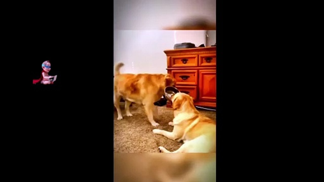 DOG LOVER PART 9