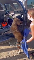 Heartwarming Transformation । Fllow us for more/like/share