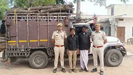 खेजड़ी की गीली लकड़ी से भरा वाहन जब्त, दो गिरफ्तार