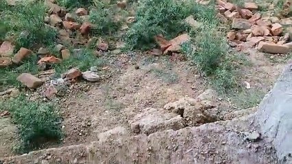 Video Story : बारिश के साथ गिरे ओले, गर्मी से मिली राहत