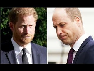 King Charles ha avvertito che il suo tentativo di sanare la "vasta spaccatura" tra William e Harry