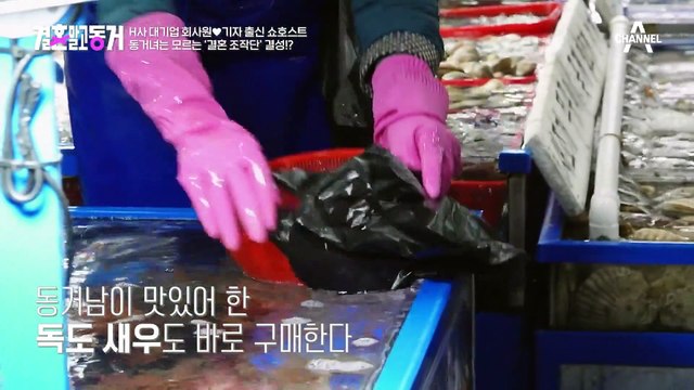 수산 시장에서 돌아온 세 사람! 동거녀는 모르는 결혼 조작단 결성♨