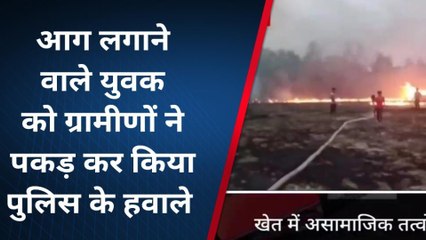 लखीसराय: असामाजिक तत्वों ने खेत में लगाई आग, फसल सहित बाग बगीचा जलकर हुआ राख