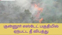 நீலகிரி: திடீர் காட்டு தீயால் பெரும் பரபரப்பு-அதிர்ச்சி தகவல்!