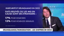 Thomas Scarpellini : «On ne peut pas faire une corrélation entre la délinquance et les étrangers»