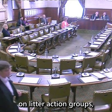 Batley and Spen MP Kim Leadbeater praises ‘excellent’ local litter pickers in Parliament