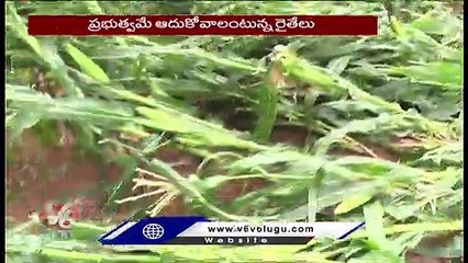 下载视频: Unseasonal Rain, Hailstorm Cause Heavy Damage To Crops In Nizamabad District | V6 News