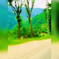 Beautiful Shangla Road Malakand Swat KPK Pakistan