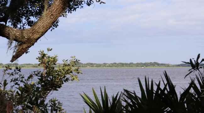 The Secluded Georgia Island Locals Want to Keep a Secret — With Near-empty Beaches, Wild Horses, and Hidden Gems