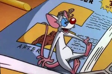 Pinky and the Brain Pinky and the Brain S03 E010 Pinky’s Plan