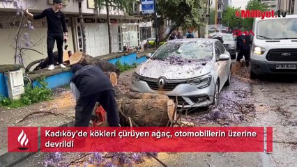 Kadıköy'de kökleri çürüyen ağaç, otomobillerin üzerine devrildi