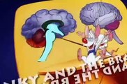 Pinky and the Brain Pinky and the Brain S03 E013 A Meticulous Analysis of History