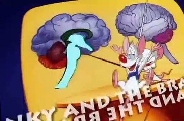 Pinky and the Brain Pinky and the Brain S03 E013 A Meticulous Analysis of History