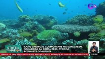 Ilang chemical components ng sunscreen, nakasisira sa coral reef, ayon sa ECOWASTE Coalition | SONA