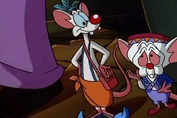 Pinky and the Brain Pinky and the Brain S03 E022 T.H.E.Y.