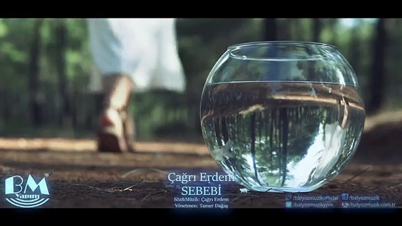 Çağrı Erdem - Sebebi