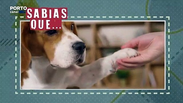 Veterinários Todo o Terreno, Episódio 24 - Sabias que