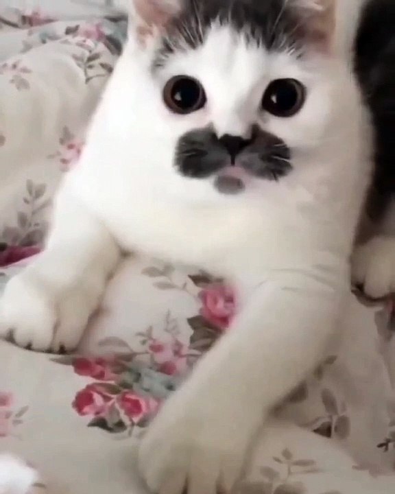 So cute 
