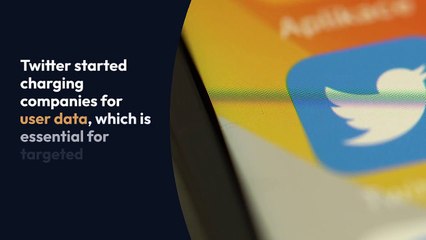 Run the jewels dunk low Options