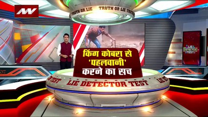 किंग कोबरा से पहलवानी पड़ी भारी, सांप ने डस लिया, जानें पूरा सच