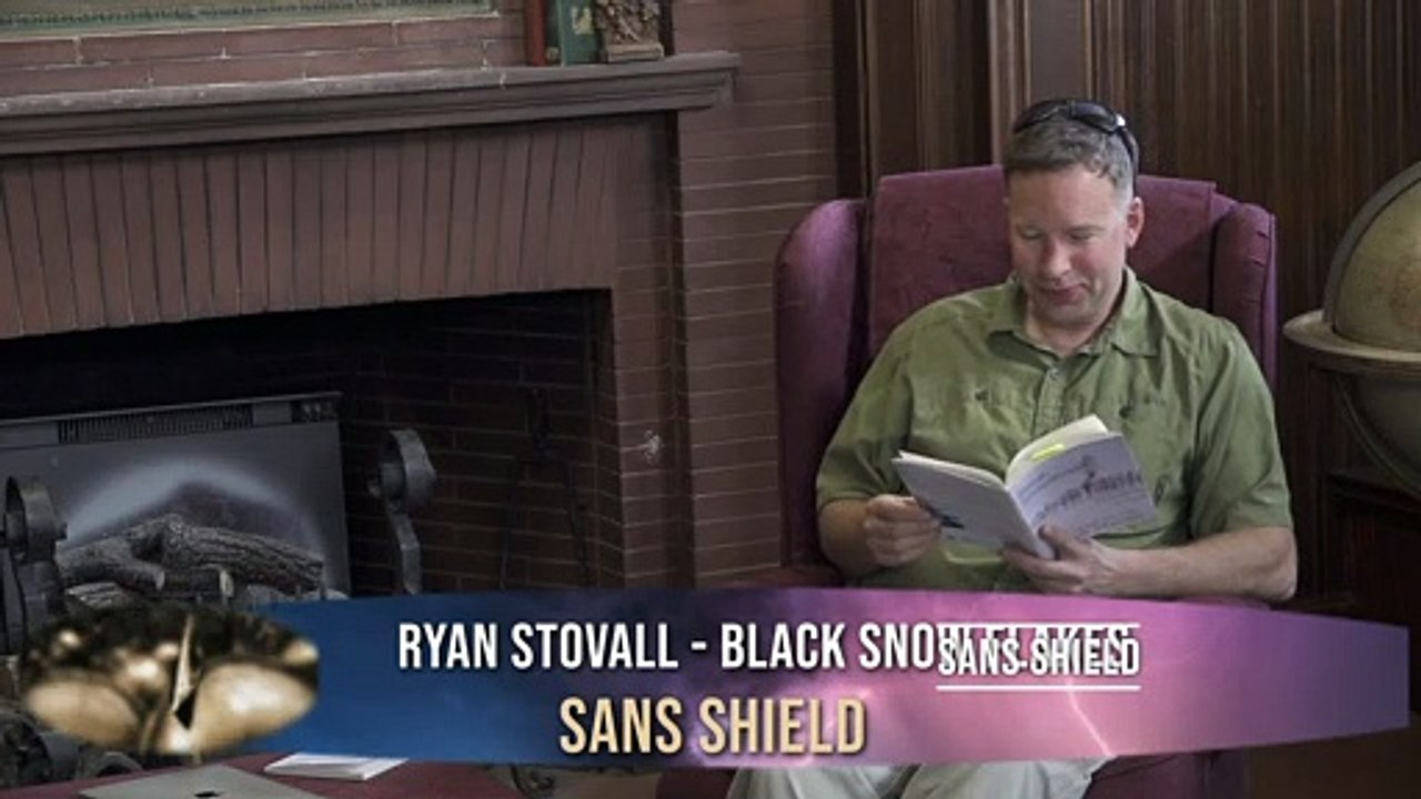 Sans_shield