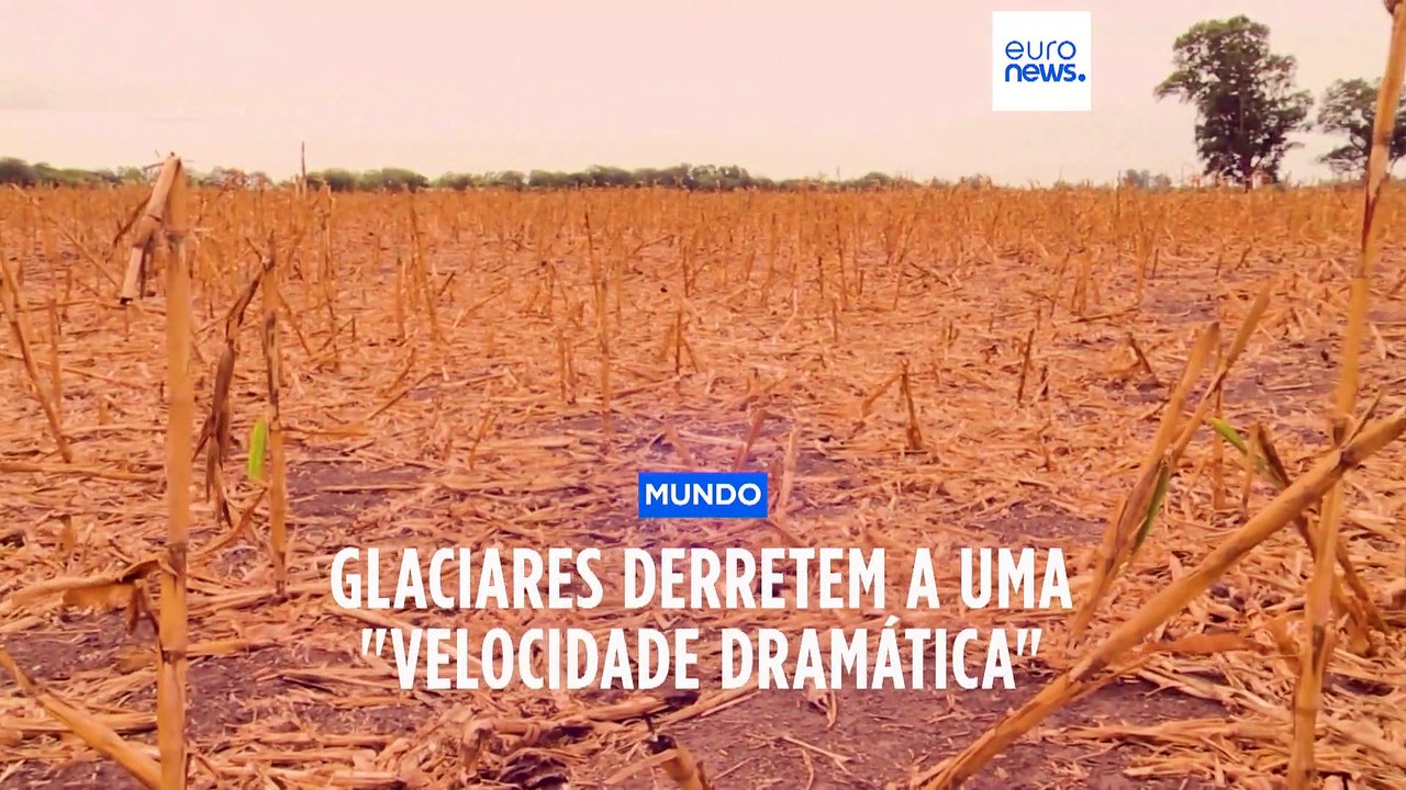 Glaciares estão a derreter a uma "velocidade dramática"