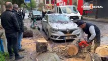 Faciadan dönüldü! Kadıköy'de kökleri çürüyen ağaç, otomobillerin üzerine devrildi