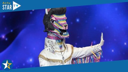 Le Lama (Mask Singer 5) dévoile des indices sur son identité : "Je ne suis pas dépourvu d'énergie...