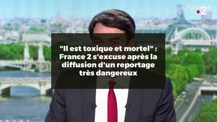 "Il est toxique et mortel" : France 2 s'excuse après la diffusion d'un reportage très dangereux