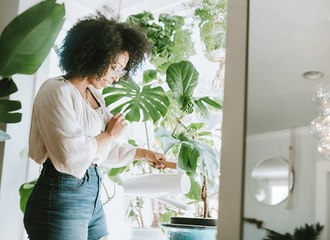 3 Things You Should Know About Moving Plants to a New Home