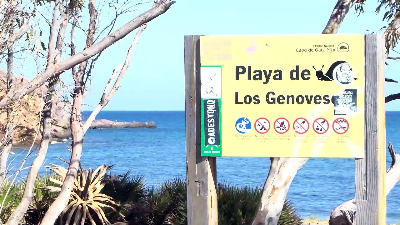 Pintores nacionales se forman en un taller de pintura en el Cabo de Gata (Almería)