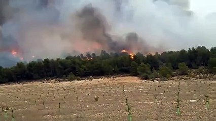 Incendio forestal en Ayna