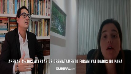 Apenas 4% dos alertas de desmatamento foram validados no Pará
