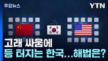 '공급망 재편' 고래 싸움에 등 터지는 한국...해법은? / YTN